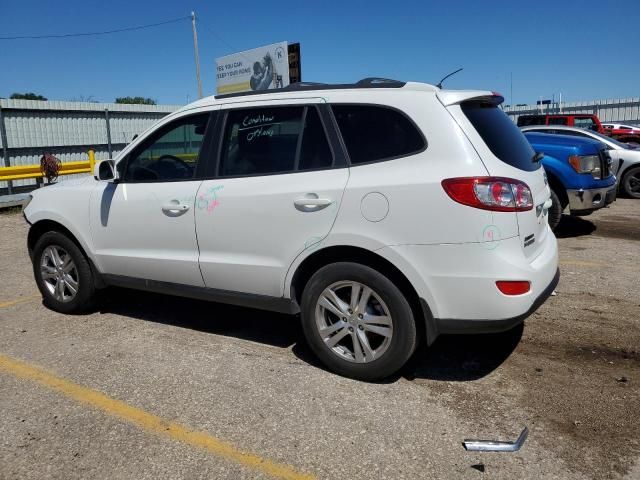 2010 Hyundai Santa FE SE