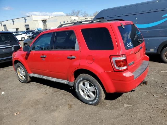 2009 Ford Escape XLT