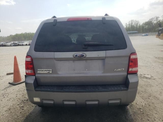 2008 Ford Escape XLT