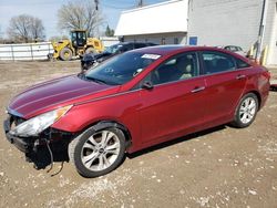 Salvage cars for sale from Copart Blaine, MN: 2011 Hyundai Sonata SE