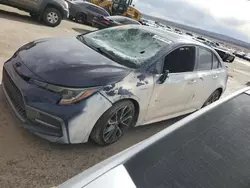 Vehiculos salvage en venta de Copart Albuquerque, NM: 2021 Toyota Corolla SE