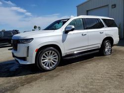 Salvage cars for sale at Martinez, CA auction: 2023 Cadillac Escalade Premium Luxury