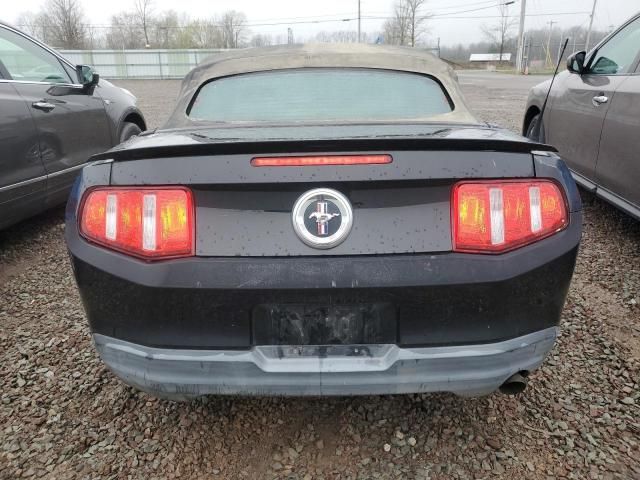 2010 Ford Mustang