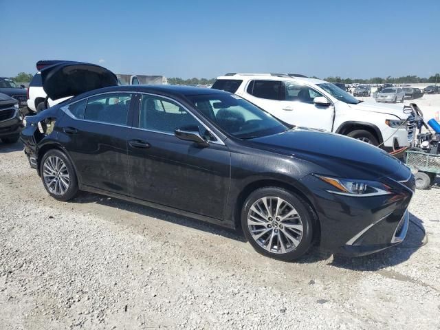 2019 Lexus ES 350