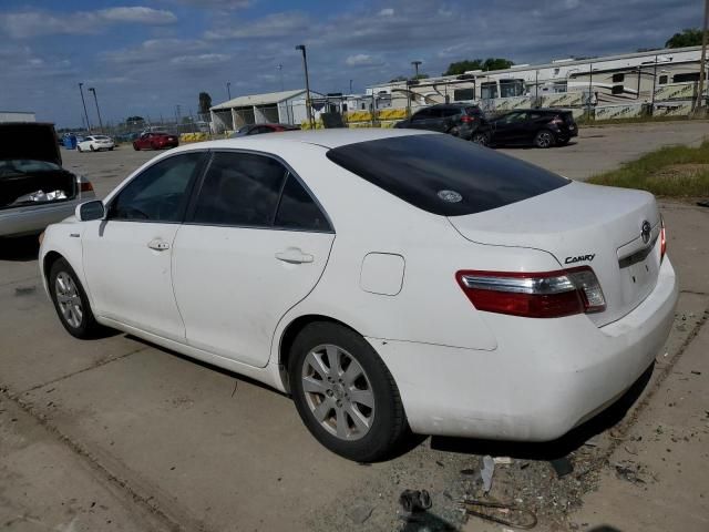 2008 Toyota Camry Hybrid