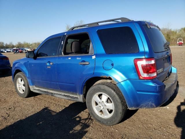 2011 Ford Escape XLT