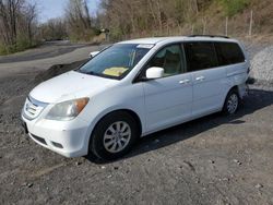 Honda Odyssey ex Vehiculos salvage en venta: 2010 Honda Odyssey EX