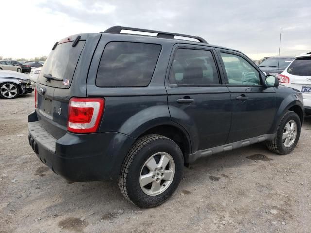 2009 Ford Escape XLT