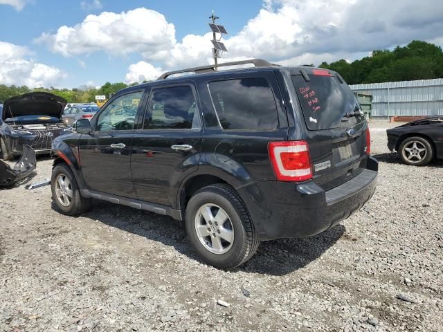 2011 Ford Escape XLT