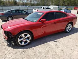 Salvage cars for sale at Charles City, VA auction: 2013 Dodge Charger R/T