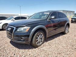 Salvage cars for sale at Phoenix, AZ auction: 2010 Audi Q5 Premium Plus