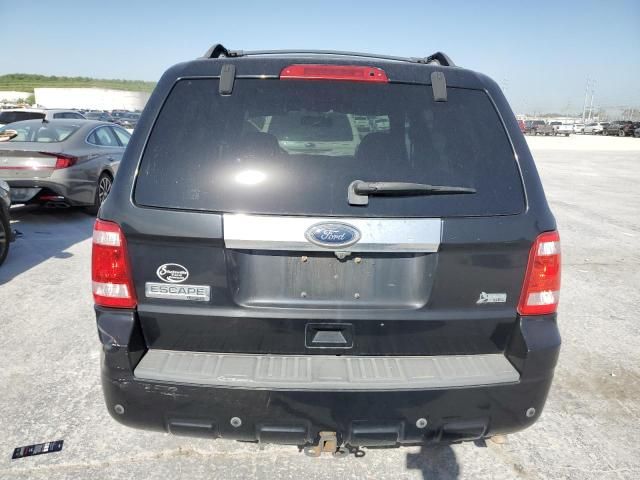 2010 Ford Escape Limited