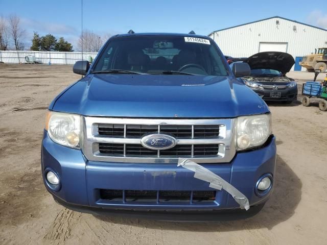 2009 Ford Escape XLT