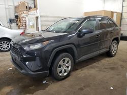 Salvage cars for sale at Ham Lake, MN auction: 2019 Toyota Rav4 LE