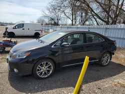 Lexus HS 250H salvage cars for sale: 2010 Lexus HS 250H