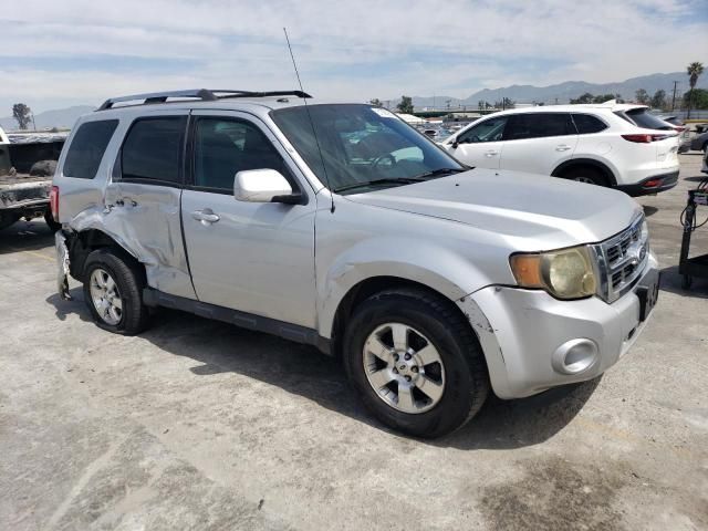 2011 Ford Escape Limited