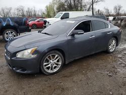 Nissan Maxima salvage cars for sale: 2009 Nissan Maxima S