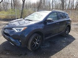 Salvage cars for sale at New Britain, CT auction: 2017 Toyota Rav4 SE