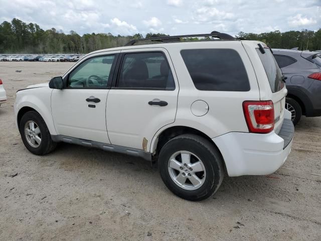 2009 Ford Escape XLT