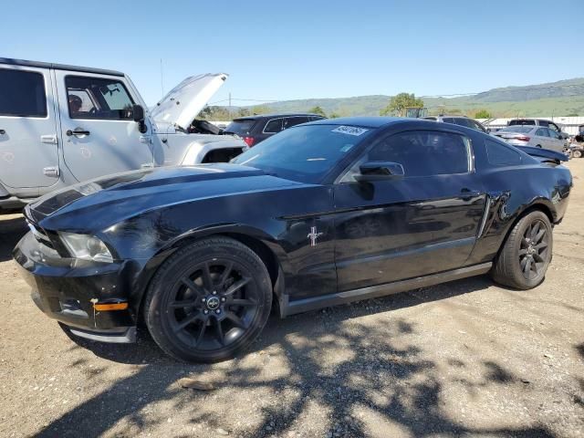 2010 Ford Mustang