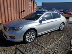 Honda salvage cars for sale: 2013 Honda Accord EXL