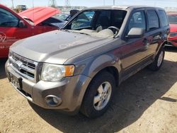 Vehiculos salvage en venta de Copart Elgin, IL: 2012 Ford Escape XLT