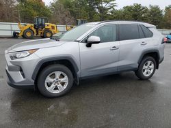 Salvage cars for sale at Brookhaven, NY auction: 2019 Toyota Rav4 XLE