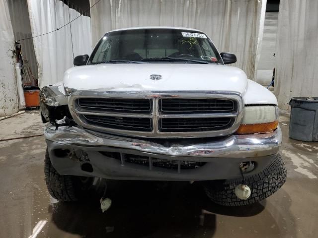 2004 Dodge Dakota Quad SLT