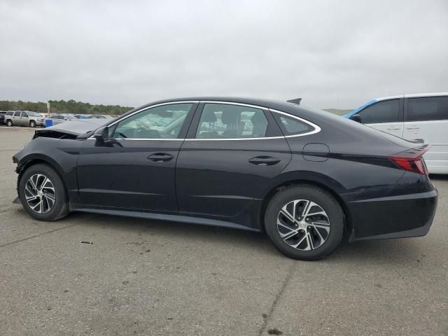 2020 Hyundai Sonata Hybrid