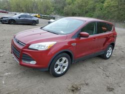 Ford Escape se salvage cars for sale: 2014 Ford Escape SE