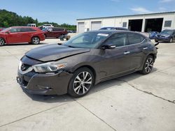 Salvage cars for sale at Gaston, SC auction: 2016 Nissan Maxima 3.5S