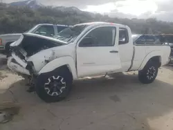 Toyota Vehiculos salvage en venta: 2005 Toyota Tacoma Prerunner Access Cab