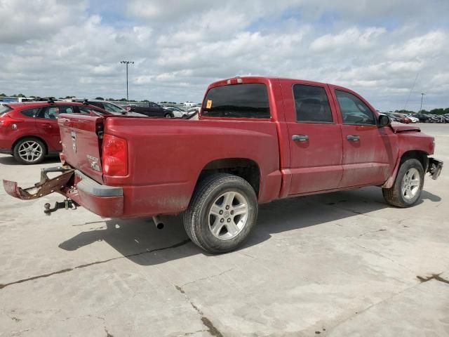 2010 Dodge Dakota SXT