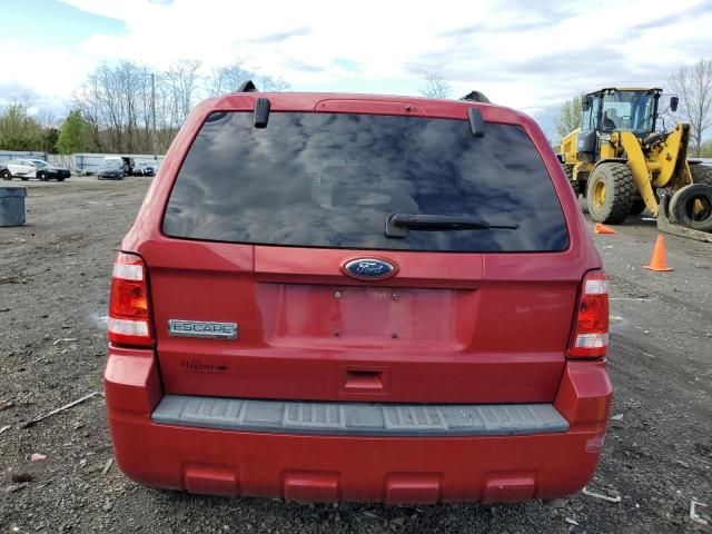 2010 Ford Escape XLT