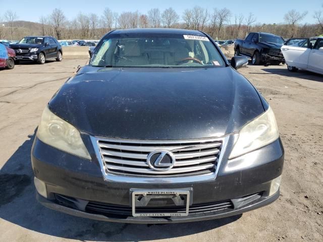 2010 Lexus ES 350