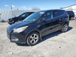 2014 Ford Escape SE for sale in Albany, NY