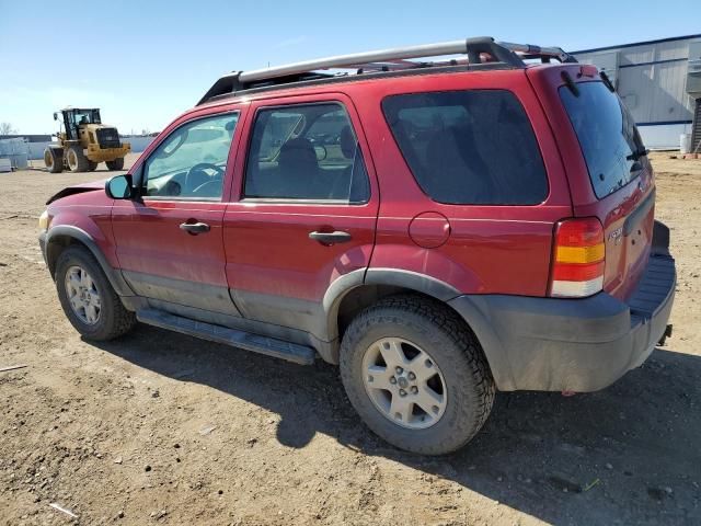 2005 Ford Escape XLT