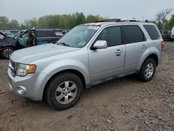 Salvage cars for sale at Chalfont, PA auction: 2010 Ford Escape Limited