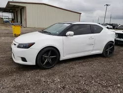 Salvage cars for sale at Temple, TX auction: 2013 Scion TC