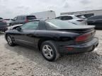 2002 Pontiac Firebird