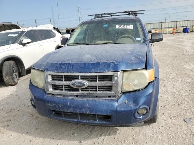 2008 Ford Escape XLT