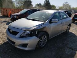 Salvage cars for sale at Madisonville, TN auction: 2010 Toyota Corolla Base