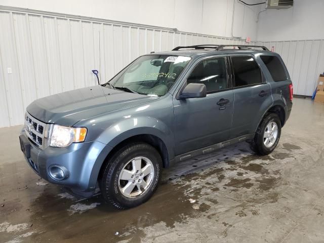 2010 Ford Escape XLT