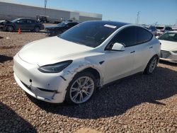 Salvage cars for sale from Copart Phoenix, AZ: 2023 Tesla Model Y