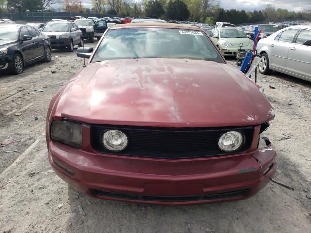 2005 Ford Mustang