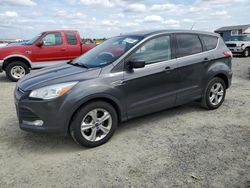 Vandalism Cars for sale at auction: 2016 Ford Escape SE