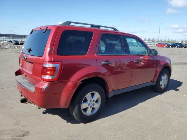 2010 Ford Escape XLT