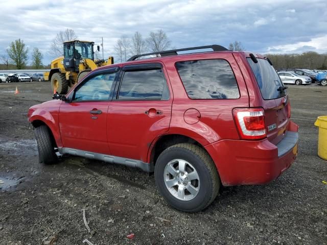 2010 Ford Escape XLT