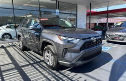 Salvage cars for sale from Copart Sun Valley, CA: 2023 Toyota Rav4 XLE