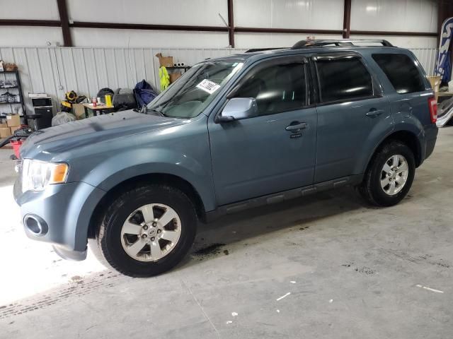 2011 Ford Escape Limited